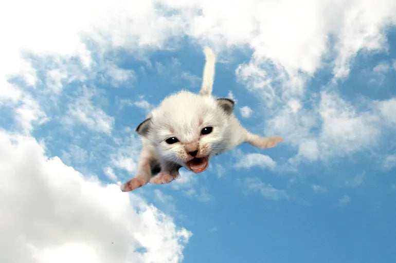 Heart Print Button Up Top and Pants Lounge Set